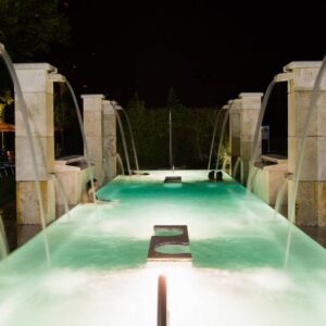 Hotel Salus